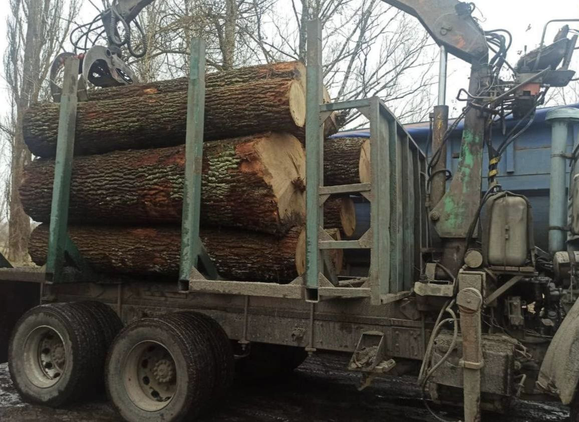 У національному парку 